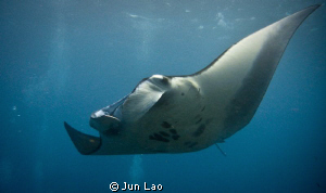 at the carwash, manta point bali by Jun Lao 